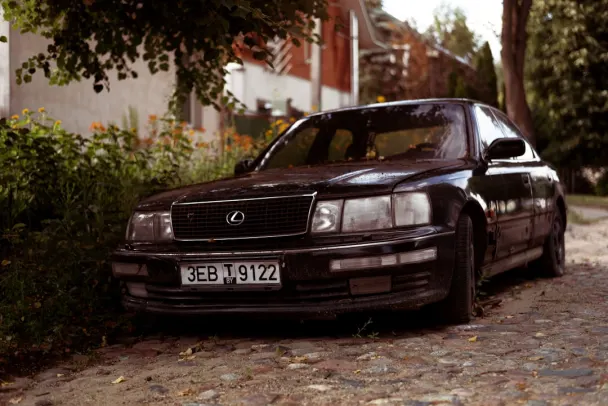 Casino Campo Bet Android/iOS Forrit